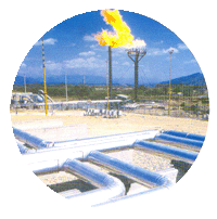 Natural Gas 